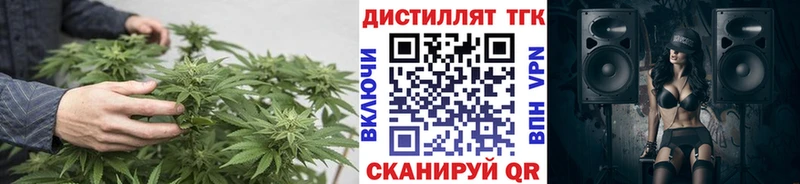 OMG зеркало  купить наркотик  Тосно  Дистиллят ТГК Wax 