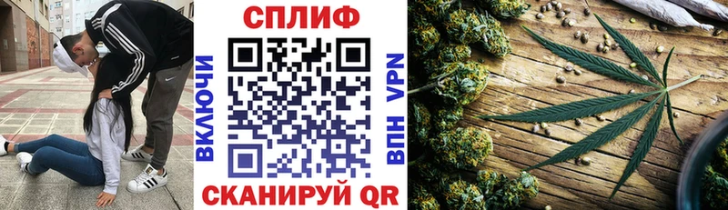 Шишки марихуана OG Kush  мориарти официальный сайт  Тосно  дарнет шоп 